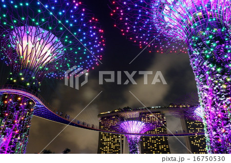 Gardens by the bay9 Gardens by the bay9 16750530