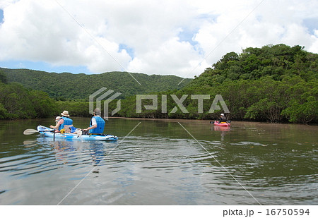 吹通川（沖縄県石垣島） 16750594