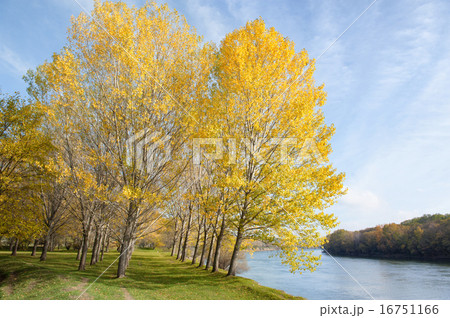 autumn forest, trees, river and sky 16751166