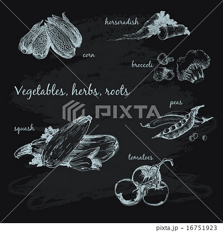 Vegetables, herb and roots. 16751923