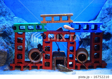 水族館の展示(お魚マンション) 水族館の展示(お魚マンション) 16752210