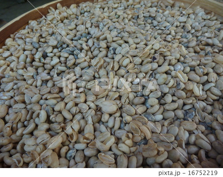 コピルアクの製造工程3 コピルアクの製造工程3 16752219