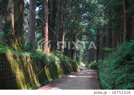 7月 日光街道・杉並木01 7月 日光街道・杉並木01 16752316