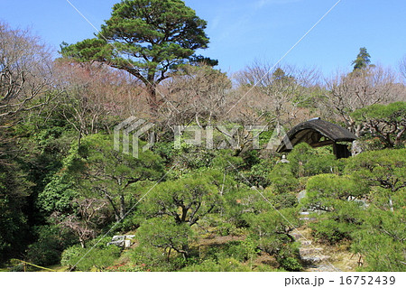 大河内山荘庭園 16752439