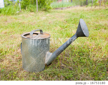 Old, rusty watering can standing on grass 16753180