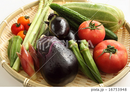 野菜　夏野菜 16753948