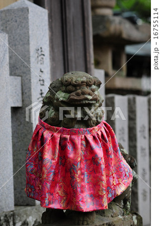 猪名野神社境内社新宮神社の狛犬 猪名野神社境内社新宮神社の狛犬 16755114