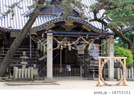 猪名野神社の茅の輪潜り-3 猪名野神社の茅の輪潜り-3 16755151