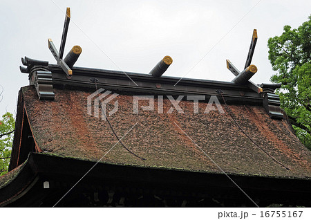 猪名野神社の本宮-2 16755167