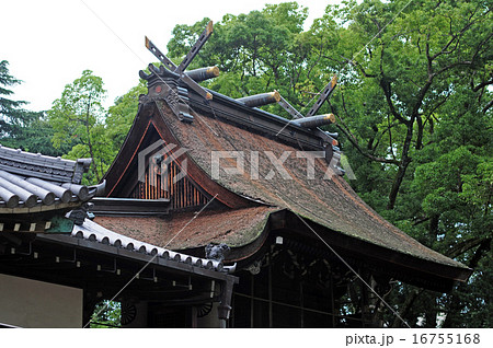 猪名野神社の本宮-3 猪名野神社の本宮-3 16755168