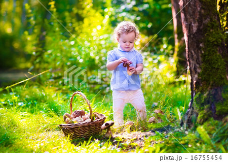 Little girl picking mushrooms in autumn park Little girl picking mushrooms in autumn park 16755454