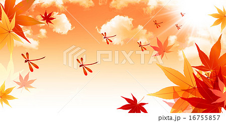 もみじ 赤とんぼ 背景 のイラスト素材