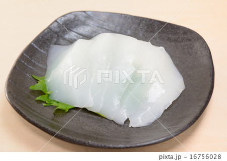 おいしいイカの刺身 16756028