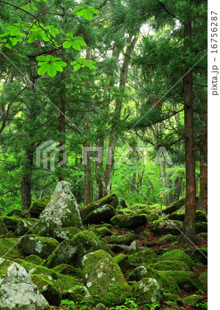 岩手県 遠野市五百羅漢 岩手県 遠野市五百羅漢 16756287