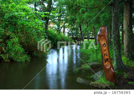 岩手県遠野市　カッパ淵 16756365