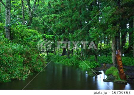 岩手県遠野市　カッパ淵 16756368