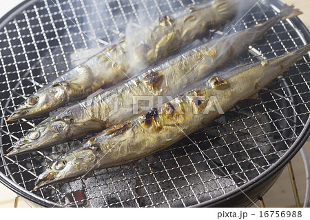 さんまを焼く 16756988