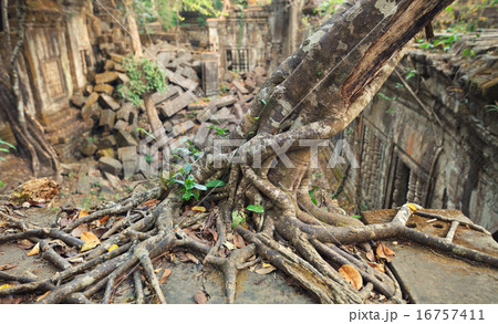 Beng Mealea Temple, Angkor, Cambodia 16757411