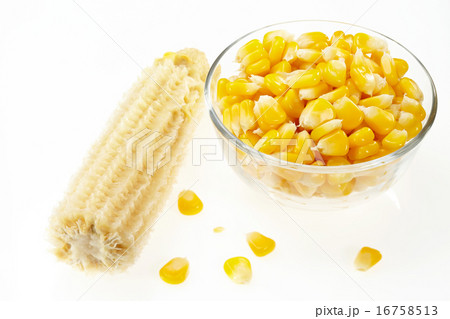 Corn 16758513