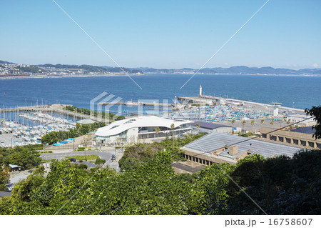 眼下に江の島ヨットハーバーと七里ヶ浜が見える風景 16758607