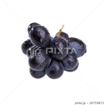 small bunch of black grapes 16759671