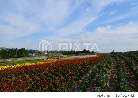 かんのファーム 16761742