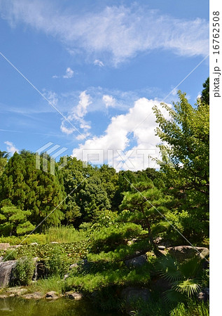 水辺の風景 水辺の風景 16762508