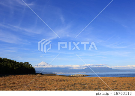 三保海岸 16763113