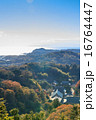 鎌倉遠望 16764447