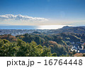鎌倉遠望 16764448