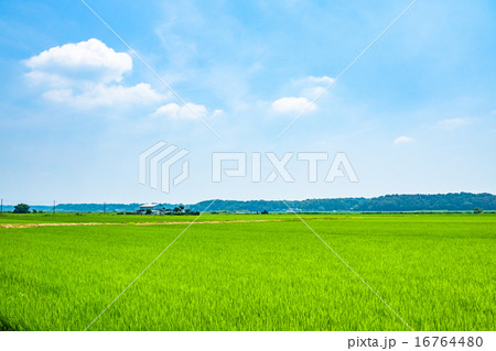 夏の青空と田園風景 夏の青空と田園風景 16764480
