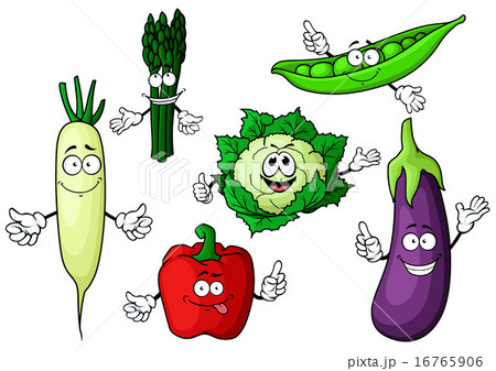Cartoon organic garden vegetables characters Cartoon organic garden vegetables characters 16765906