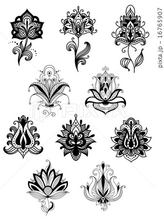 Indian lacy flowers with paisley ornament Indian lacy flowers with paisley ornament 16765907
