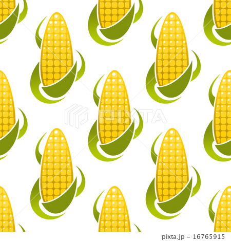 Sweet corn cobs seamless pattern Sweet corn cobs seamless pattern 16765915