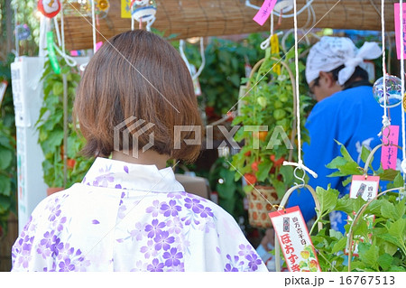 浅草ほうずき市を楽しむ浴衣姿の女性 16767513