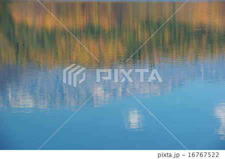 紅葉する青木湖 16767522