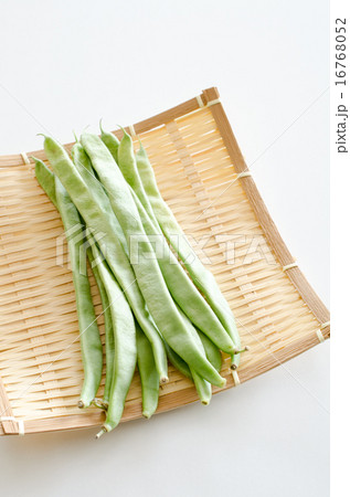 ささげ ささげ 16768052