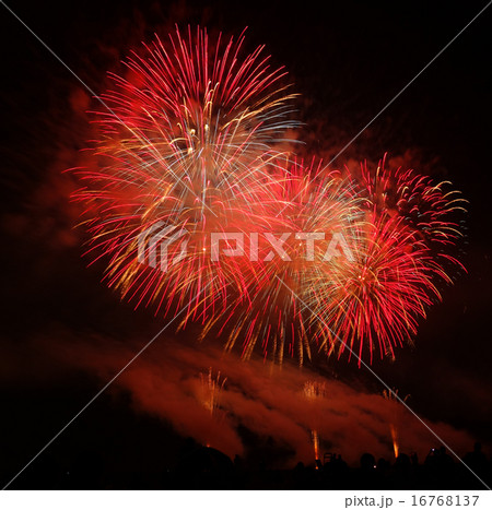 fireworks 16768137