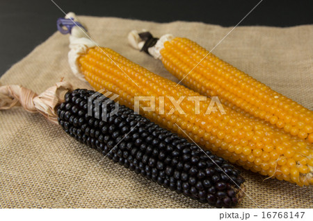 乾燥トウモロコシ 16768147