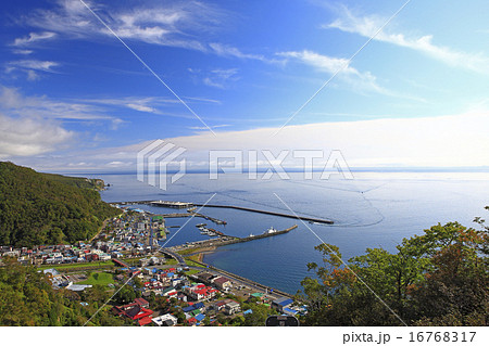 羅臼港 16768317