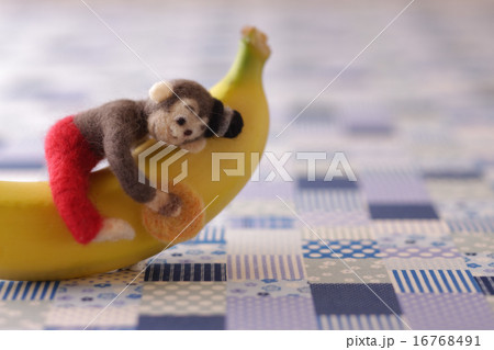 フェルトの猿とチェック柄の背景 フェルトの猿とチェック柄の背景 16768491
