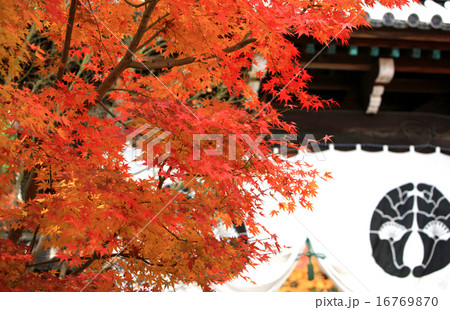 京都の紅葉112 京都の紅葉112 16769870