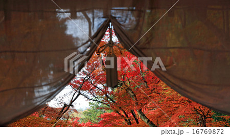 京都の紅葉114 京都の紅葉114 16769872