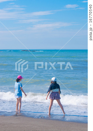 夏の海岸 16770540