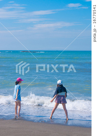 夏の海岸 16770541