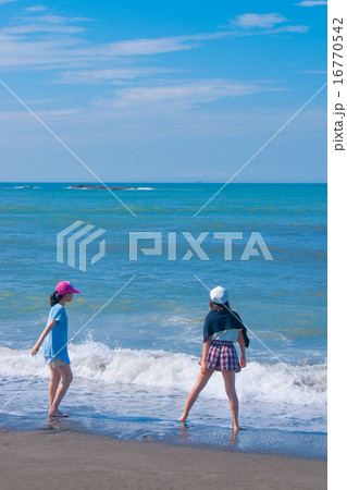 夏の海岸 16770542