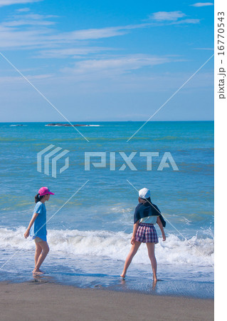 夏の海岸 16770543