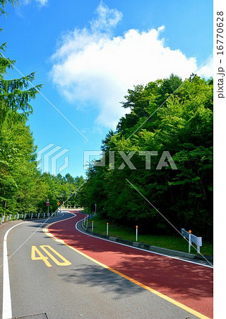 奥多摩周遊道路 (29) 16770628