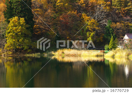 紅葉する中綱湖 16770729