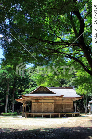 おおち谷神社 16770820